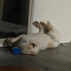 Meet your Posher, Robert